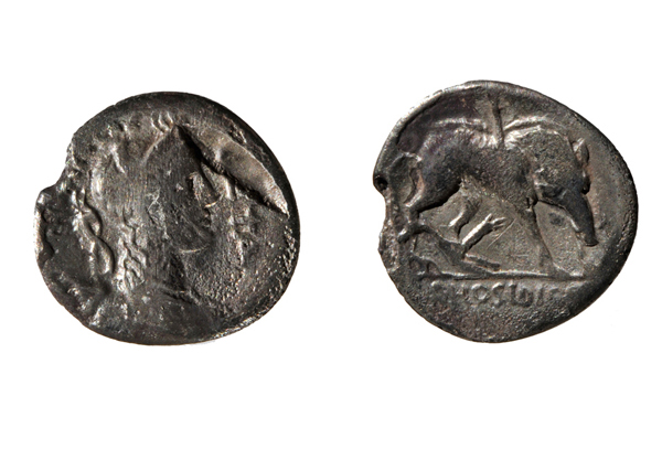 Naples, National Archaeological Museum, Coin Cabinet. Silver denarius of C.Hosidius C.F. Geta, mint of Rome, 68 B.C. ©SSBAPES.