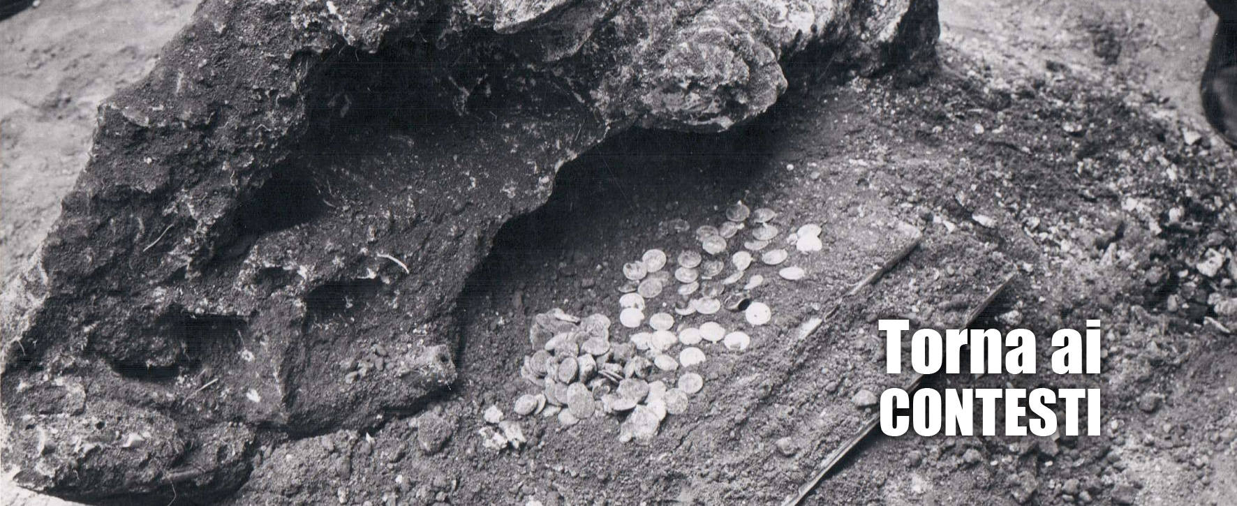 torna ai contesti torna ai contesti