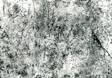 Iscrizione CIL IV 8203. ©SSBAPES